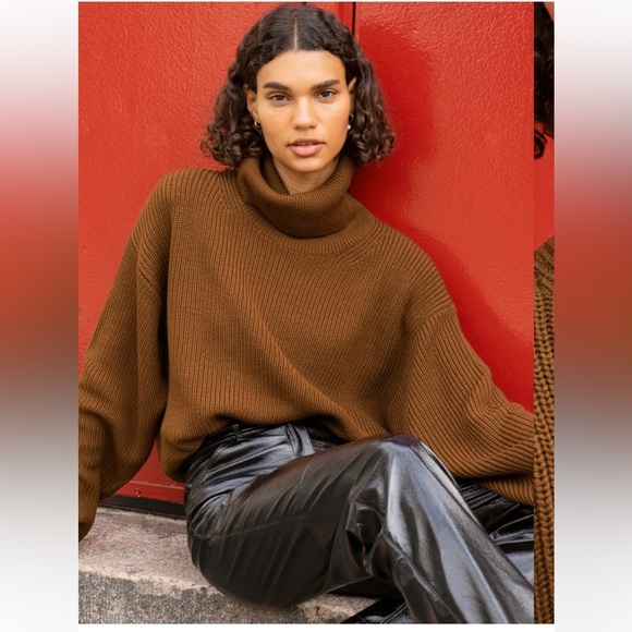 Aritzia Sweaters - Wilfred BELIZE TURTLENECK Aritzia